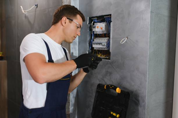 Best Ceiling Fan Installation Electrician  in Warroad, MN