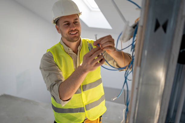 Best Electric Panel Repair  in Warroad, MN